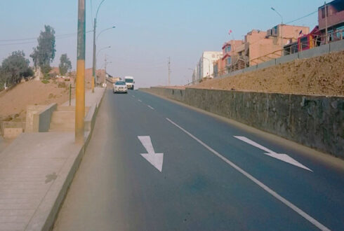 Mejoramiento de la infraestructura vial de la av. Las Magnolias, tramo av. Placido Jimenez – Vía de Evitamiento